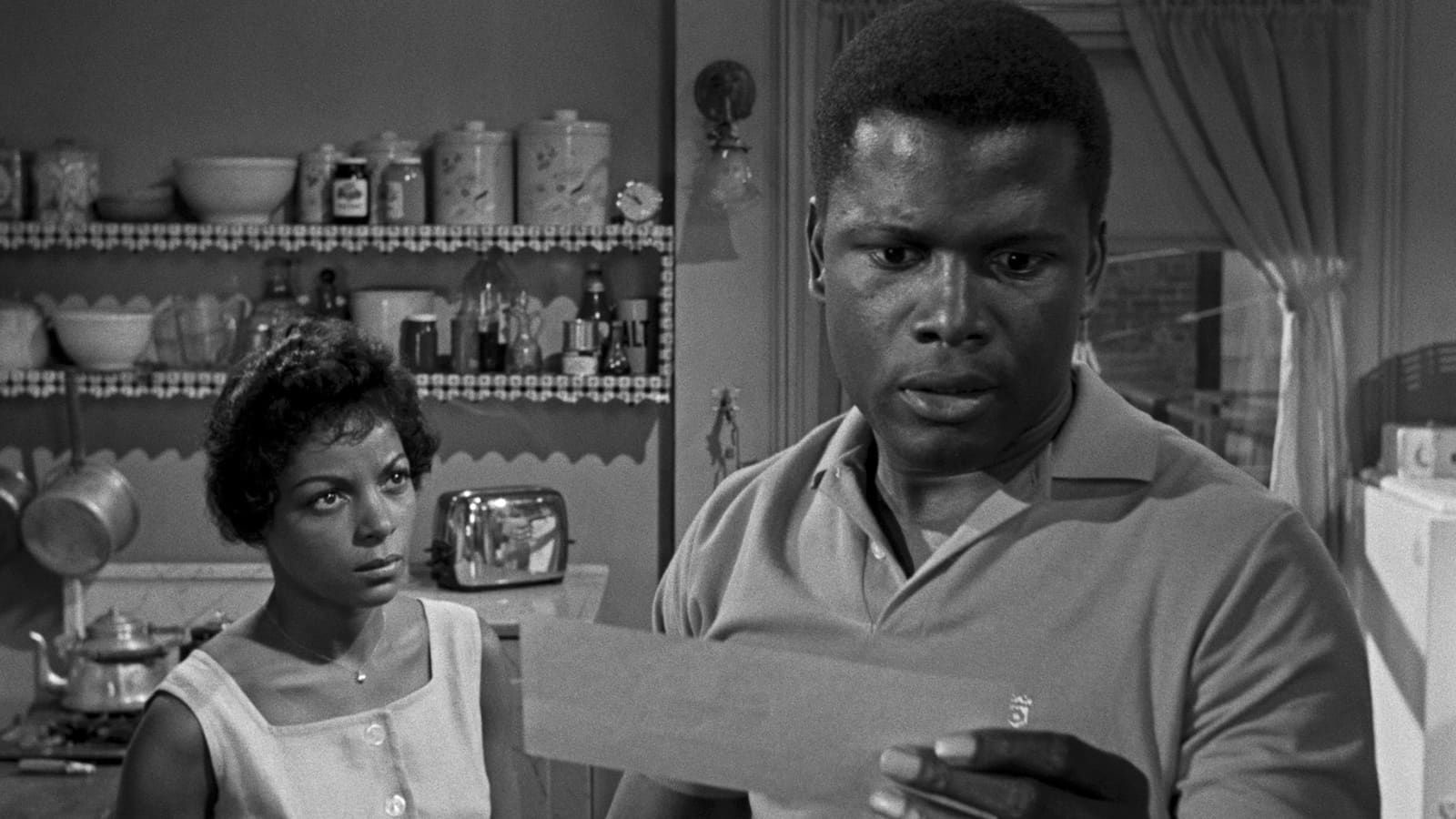 segregation in a raisin in the sun